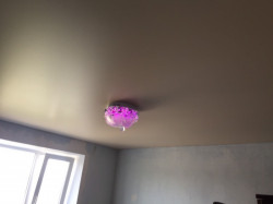 Сатинова плівка, фото 5