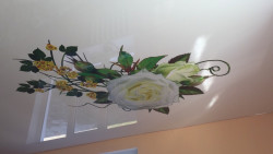 Натяжні стелі з фотодруком, фото 8