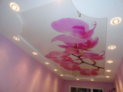 Натяжні стелі з фотодруком, фото 10