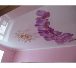 Натяжні стелі з фотодруком, фото 11