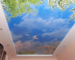 Натяжні стелі з фотодруком, фото 12