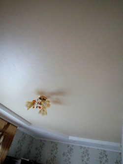 Матова плівка, фото 36