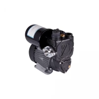 Насосная станция Thermo Alliance PZB750A 0,55 кВт, фото