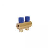 Коллектор Icma с регулировочными вентилями 1" 2 выхода №1105 (Blue), фото