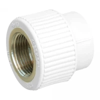 Муфта PPR Blue Ocean 25х3/4" ВР, фото