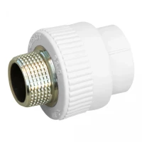 Муфта PPR Blue Ocean 25х1/2" НР, фото