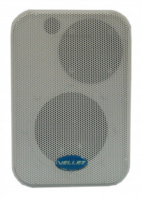 Громкоговоритель настенный 30АС100ПН, фото