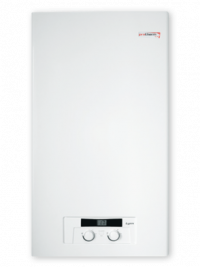 Котел газовий двоконтурний настінний Protherm "Рись" 24, фото