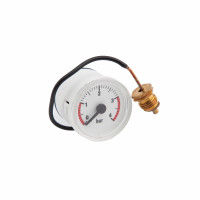 Манометр Airfel Digifel/Digifix 0-4 бар, фото