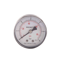 Манометр діам. 50 мм. латун. заднє підкл. 0-6 бар 1/4"з SD1716B SD Plus, фото