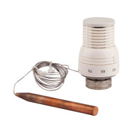 SD Термоголовка с выносным датчиком M30x1,5   SD341, фото