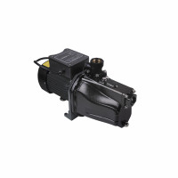 Насос поверхневий самовсмоктувальний Thermo Alliance SJETN-100N 0,75 кВт, фото