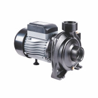 Насос поверхностный центробежный Thermo Alliance CPm200/2 1,5 кВт, фото