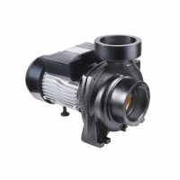 Насос поверхностный центробежный Thermo Alliance CPm300/4 2,2 кВт, фото