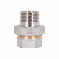 Згін-американка Thermo Alliance Standart 1"ВЗ нікель, прямий TAS190W25, фото