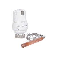 Термоголовка Thermo Alliance Standart М30х1,5 (30-70℃) з виносним датчиком TAS34170, фото