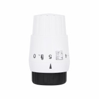 Термоголовка Forte Click System TAF303 Thermo Alliance, фото